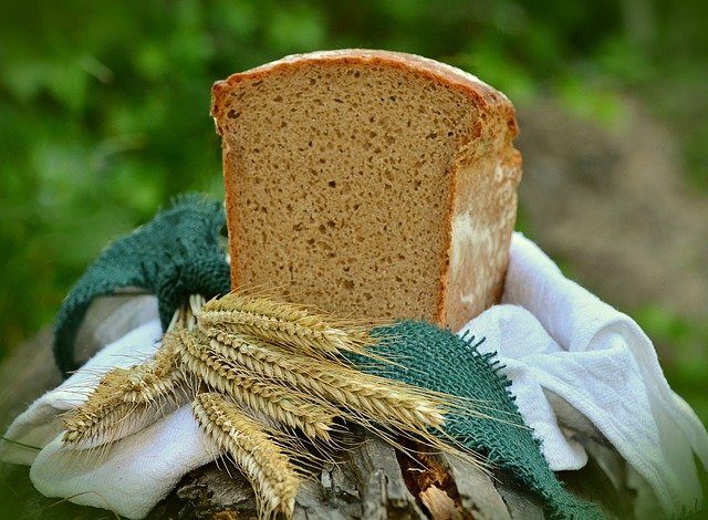 【今すぐ役立つ】高級食パンの保存方法教えます！